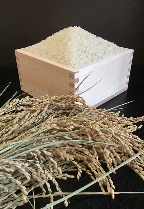 大岡食品の米